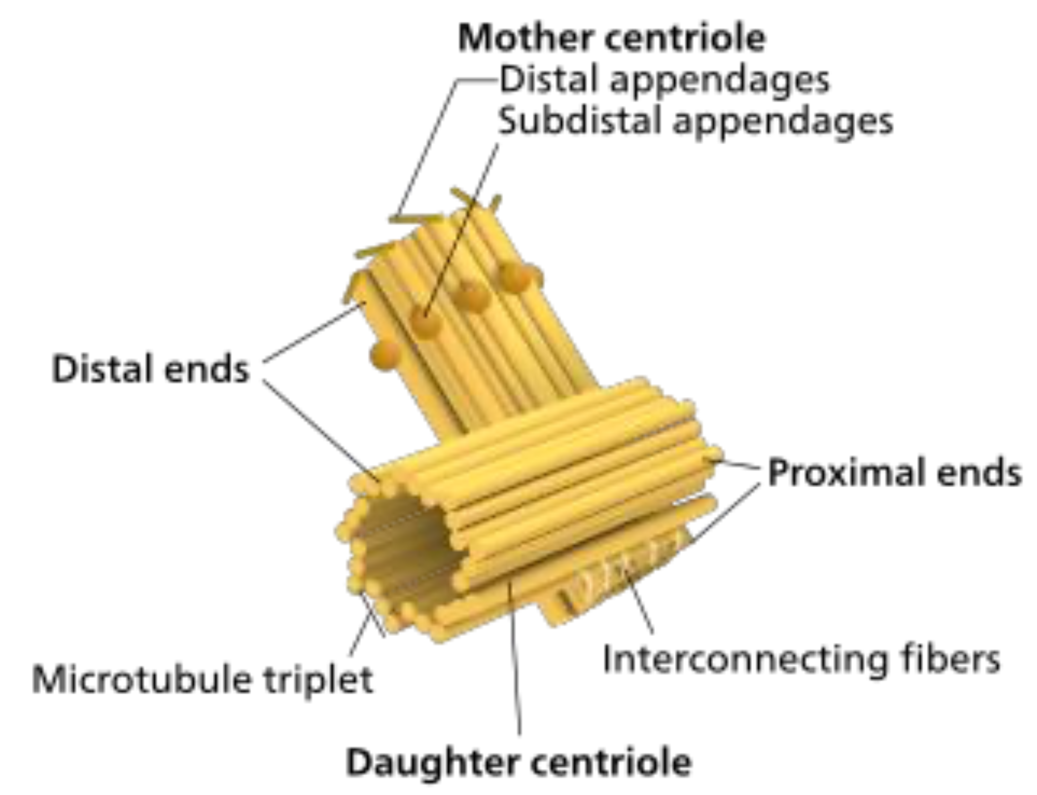 Figure 3.7
