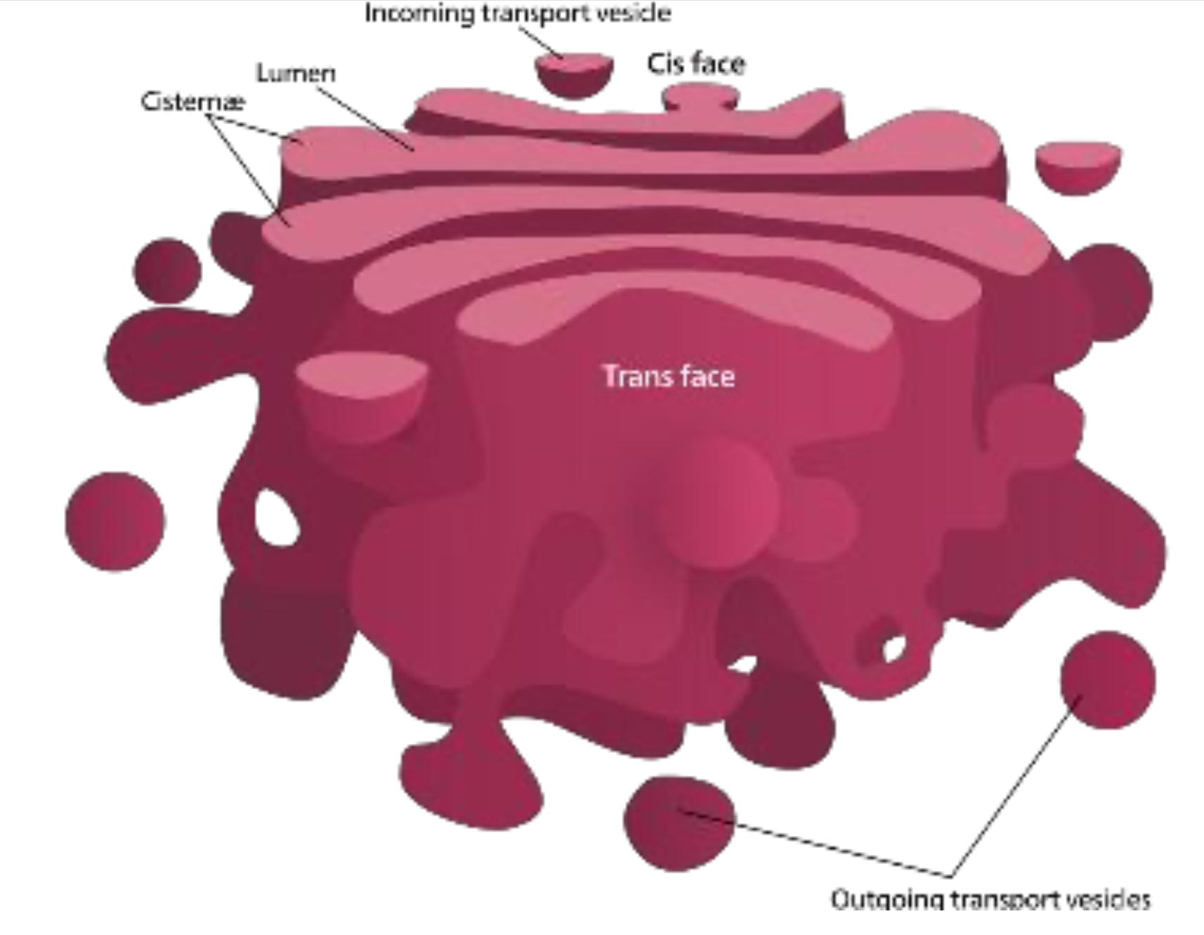 Figure 3.13