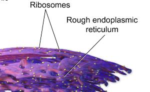 Figure 3.19