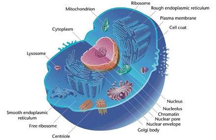 Figure 3.9